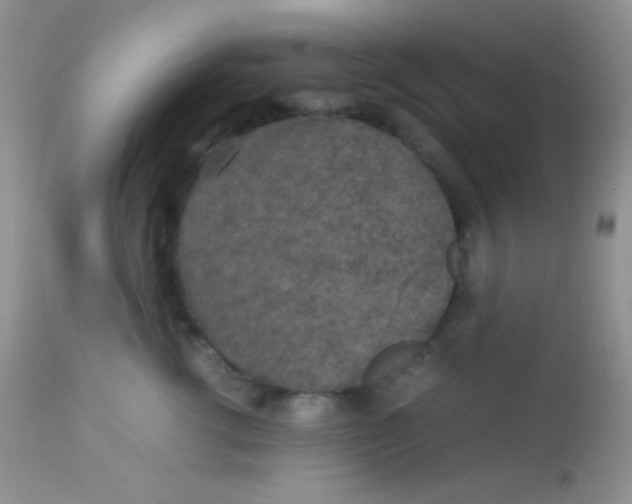 X0000113070762200909182024