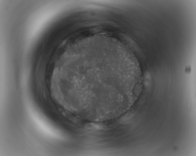 X0000113070763200909182024