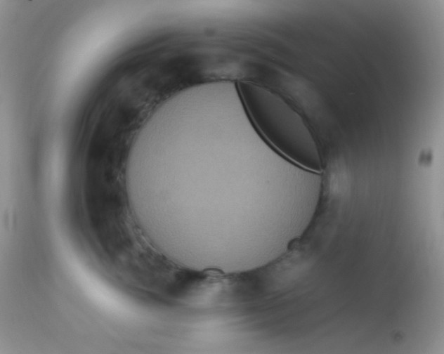 X0000113070764200909182024