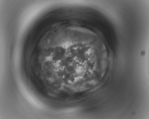 X0000113070765200909182024