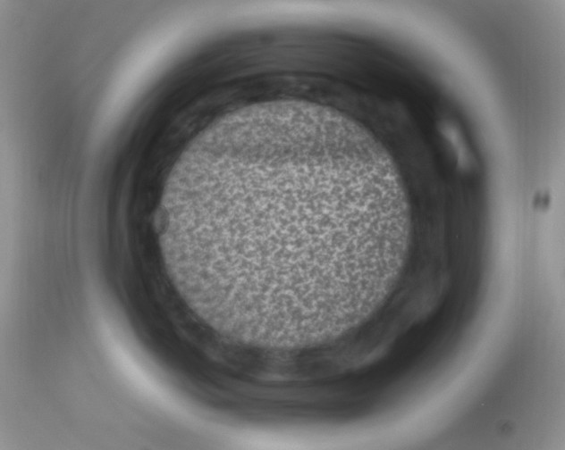 X0000113070766200909182024