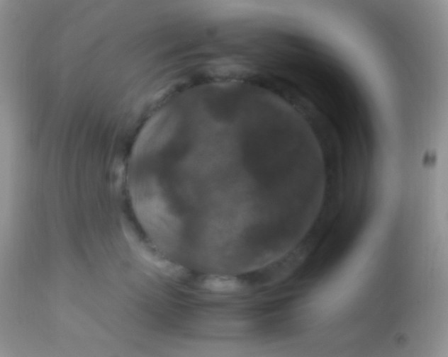 X0000113070767200909182024