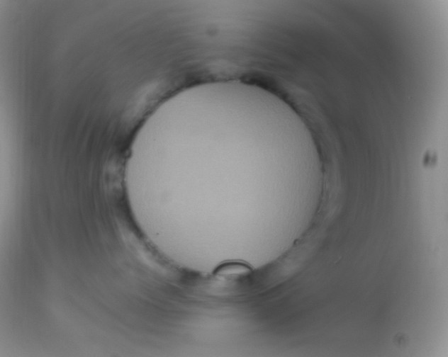 X0000113070768200909182024