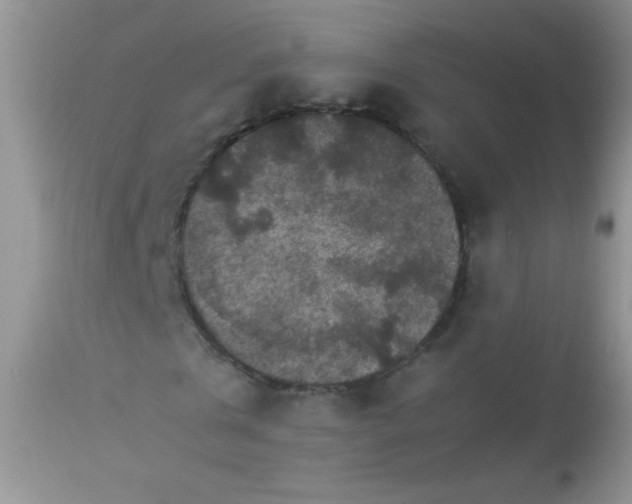 X0000113070769200909182024