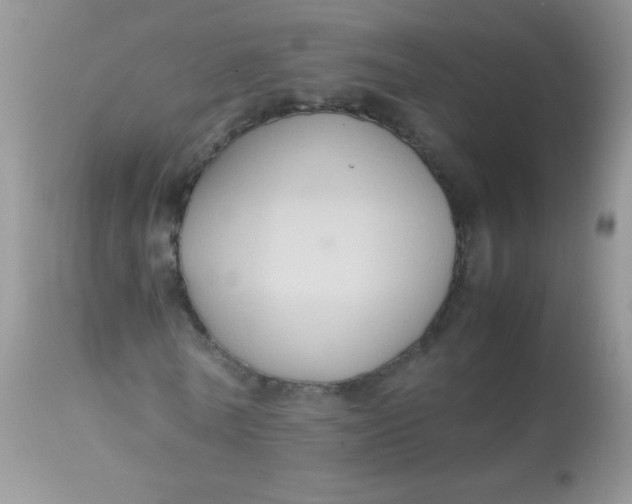 X0000113070770200909182024