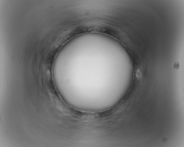 X0000113070771200909182024