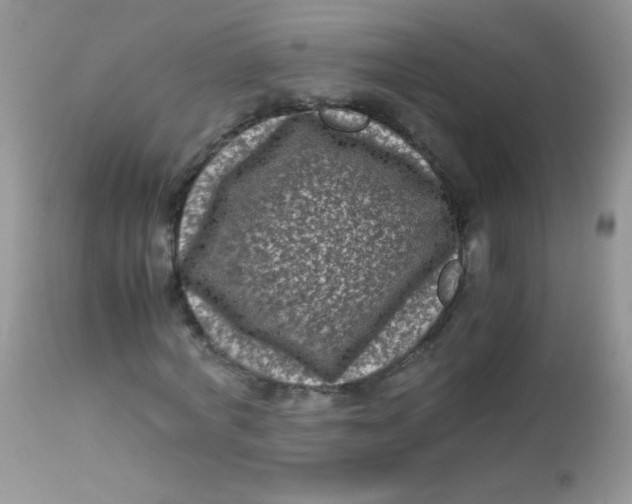 X0000113070772200909182024