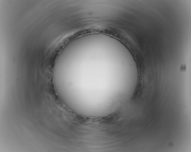 X0000113070773200909182023