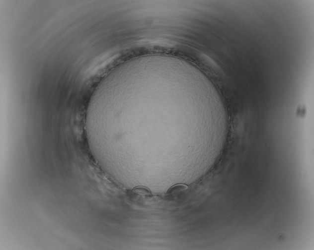 X0000113070774200909182023