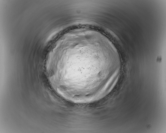 X0000113070775200909182023