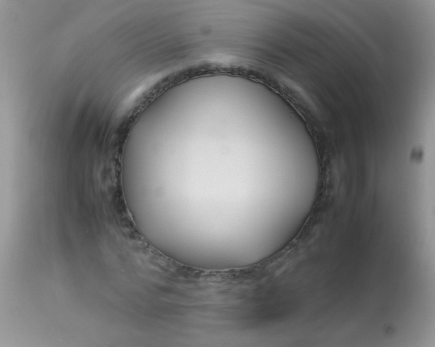 X0000113070776200909182023