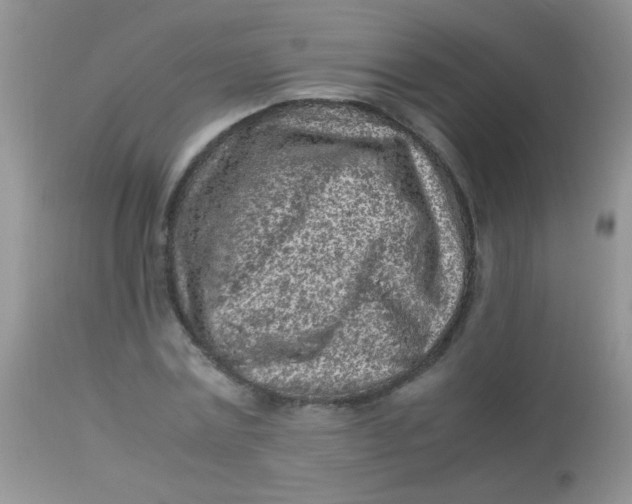 X0000113070779200909182023