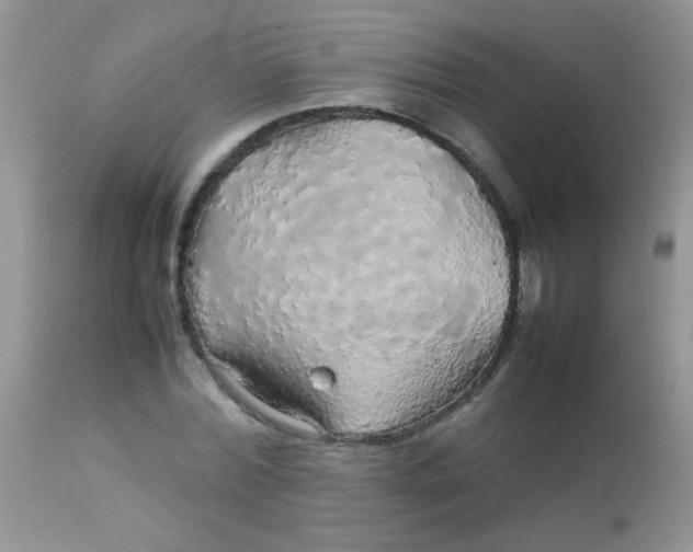 X0000113070780200909182023