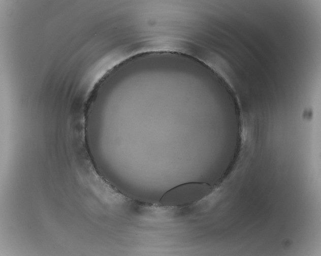 X0000113070781200909182023