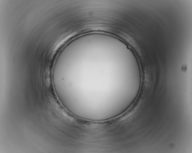 X0000113070782200909182023