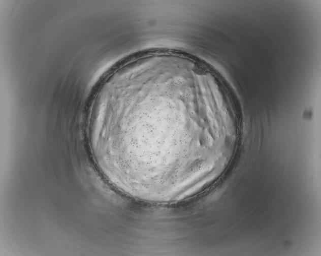 X0000113070783200909182023