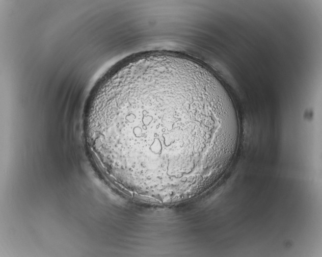 X0000113070784200909182023