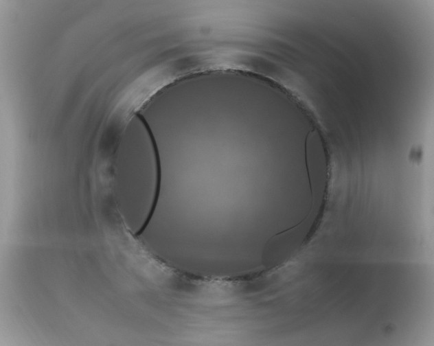 X0000113070785200909182023