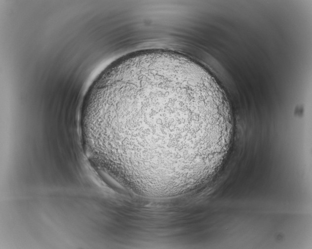 X0000113070788200909182023