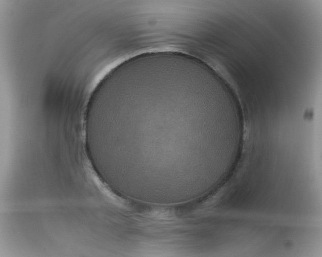 X0000113070789200909182023