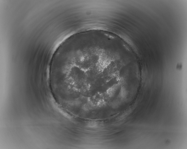 X0000113070790200909182023