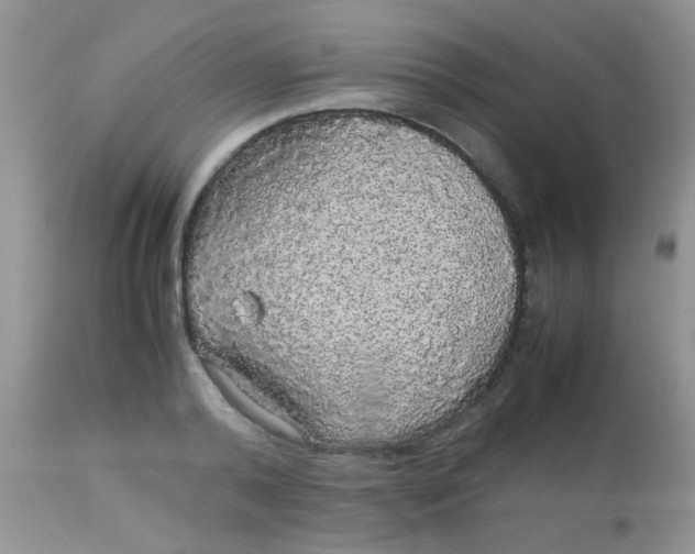 X0000113070792200909182023