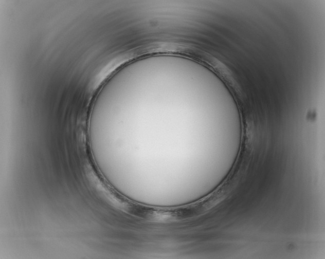 X0000113070794200909182023