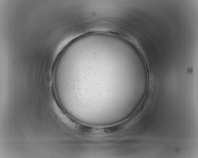 X0000113070795200909182023