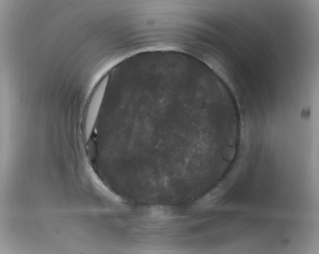 X0000113070797200909182023