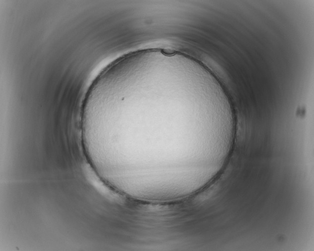 X0000113070800200909182023