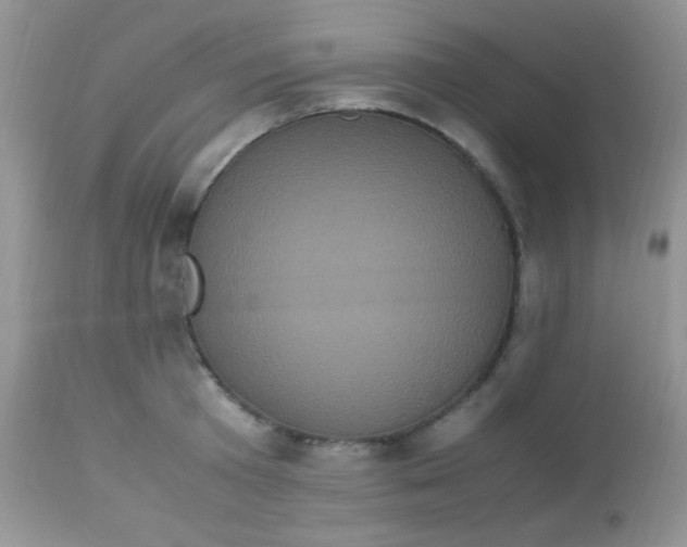 X0000113070801200909182023