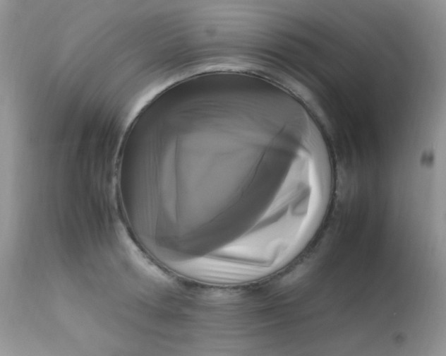 X0000113070802200909182023