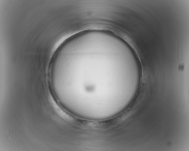 X0000113070803200909182023