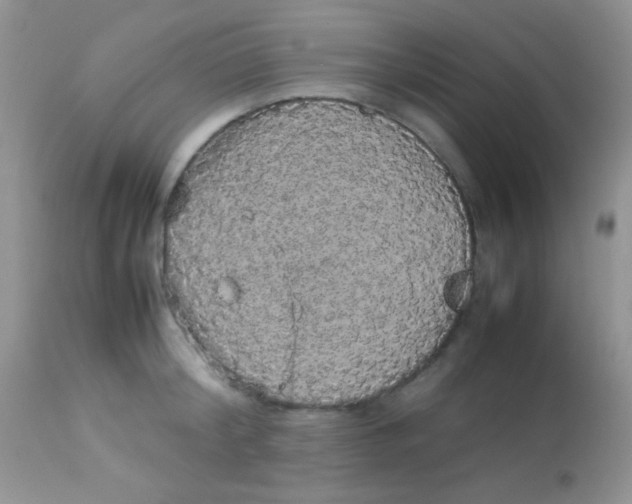 X0000113070804200909182023