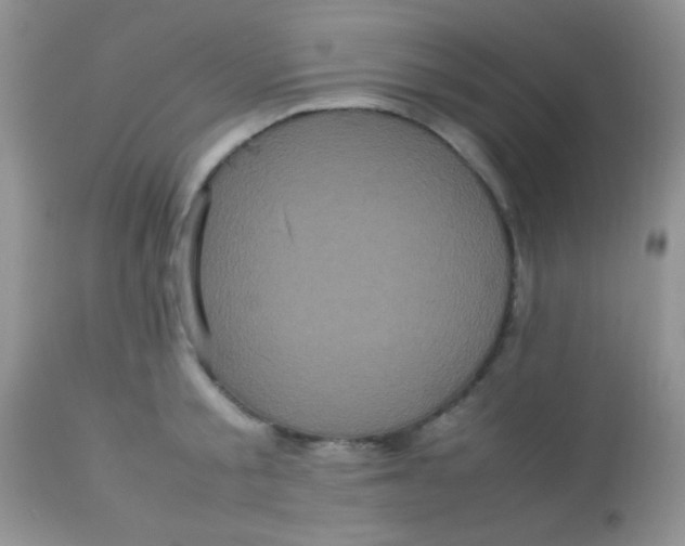 X0000113070805200909182023