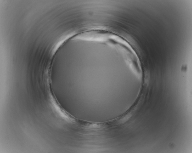 X0000113070806200909182023