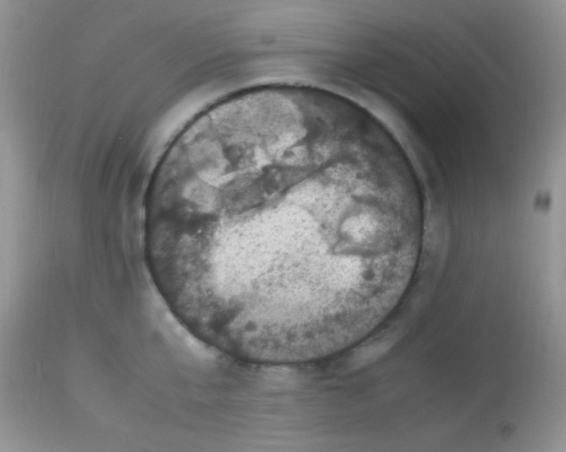 X0000113070807200909182023