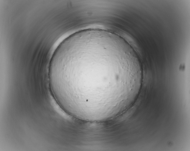 X0000113070808200909182023