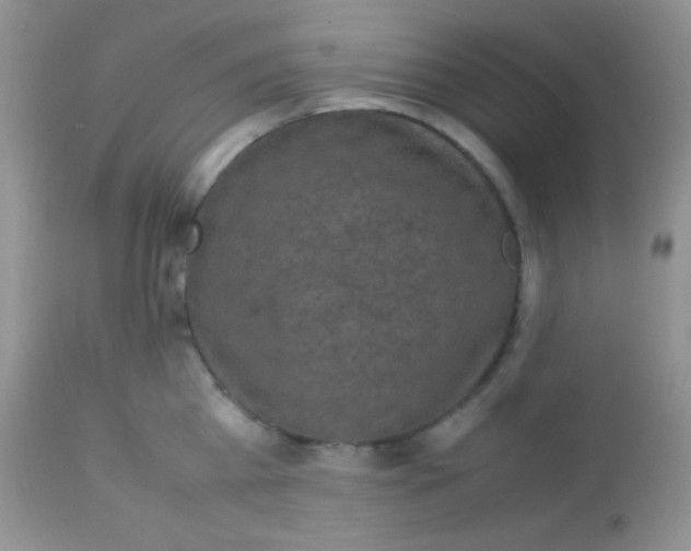 X0000113070809200909182023