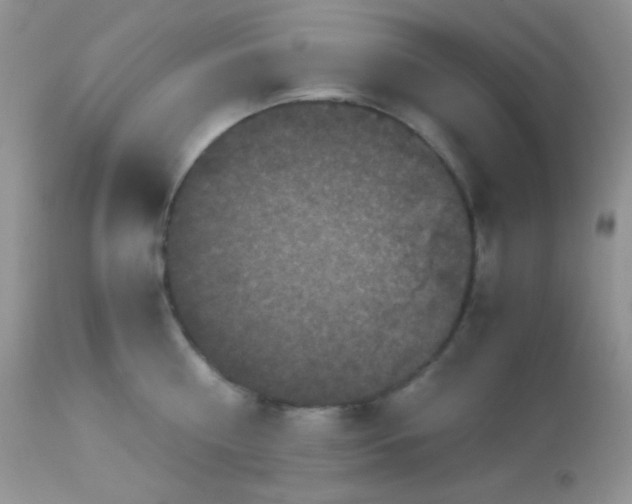 X0000113070810200909182023