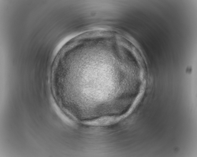 X0000113070811200909182023