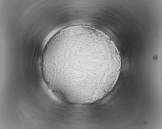 X0000113070812200909182023