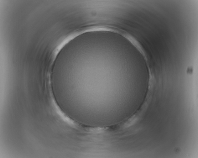 X0000113070813200909182023