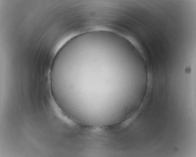 X0000113070814200909182023