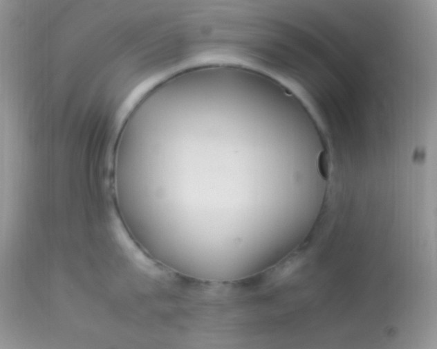 X0000113070815200909182023