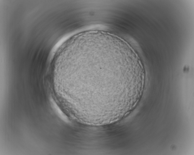 X0000113070816200909182023