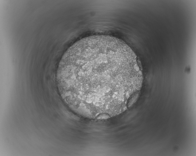 X0000113070817200909182022