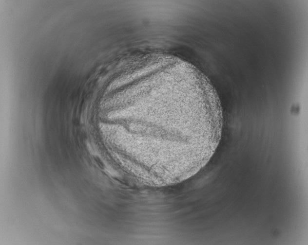 X0000113070818200909182022