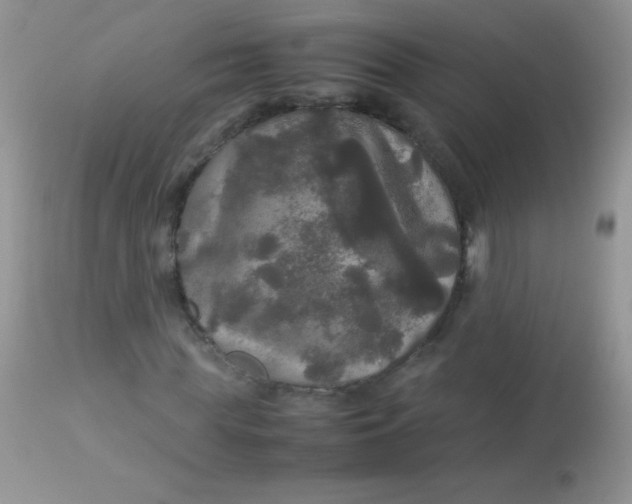 X0000113070819200909182022