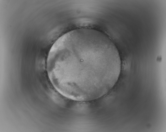 X0000113070820200909182022